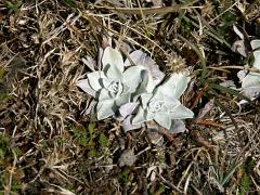 100214_Paso_de_Cortes 063